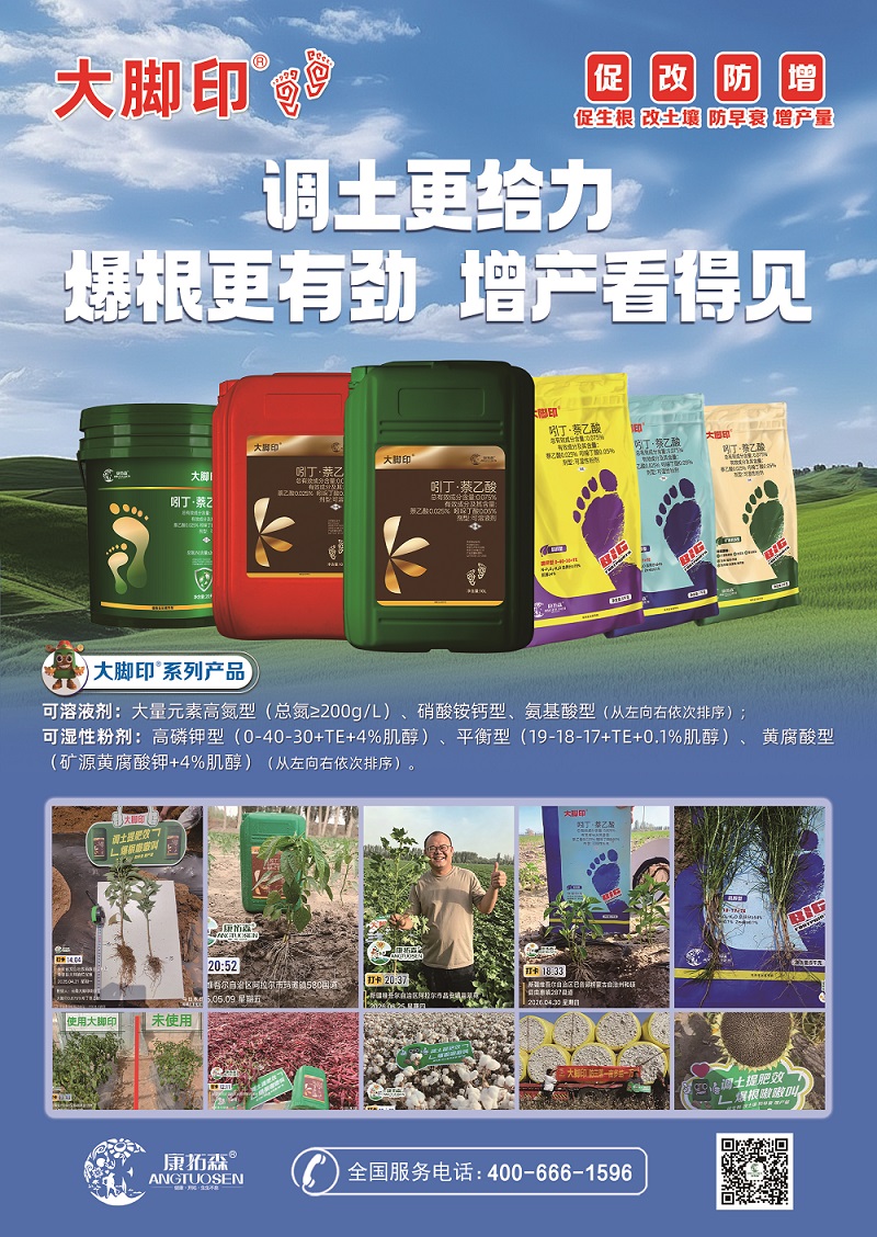 植调肥：一场从“根”开始的农业思维革命