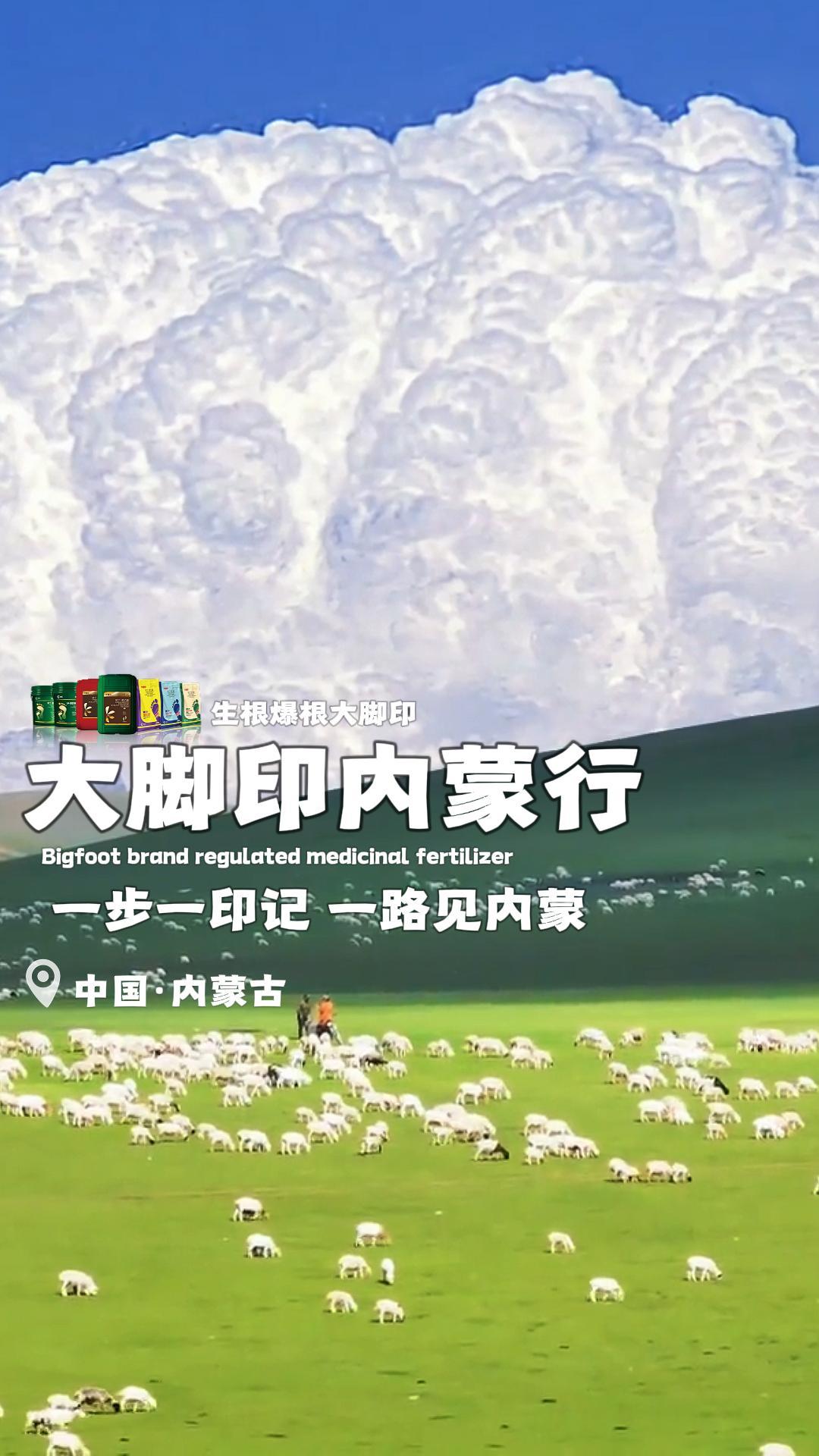 600亿蓝海风起：植调药肥何以成为农资下一个黄金赛道？