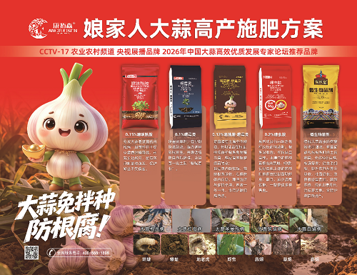 大蒜根腐病年年难防？从“拌种”到“撒施”，一种轻简思路正在兴起