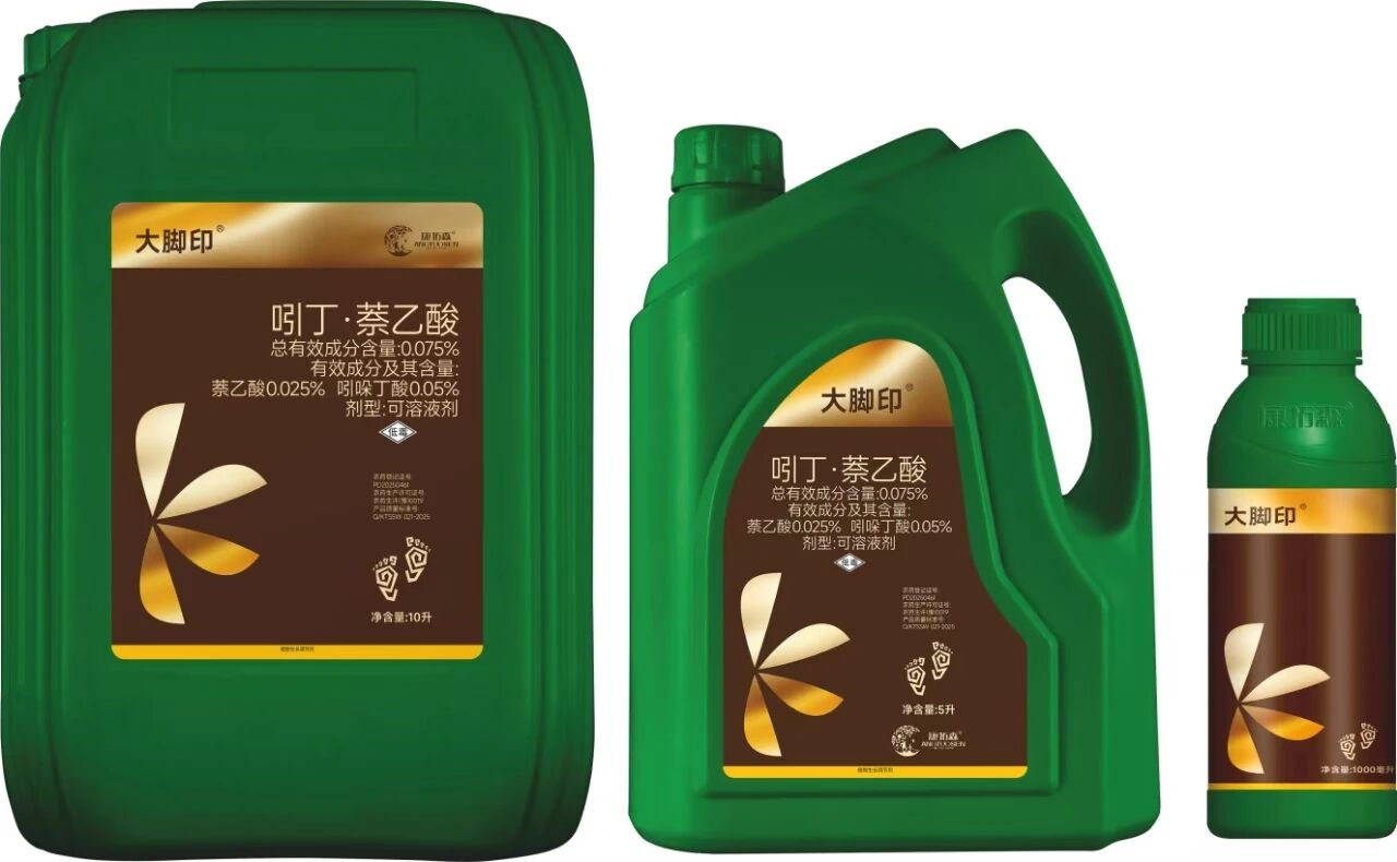 用好定植水，选对大脚印——让幼苗赢在起跑线